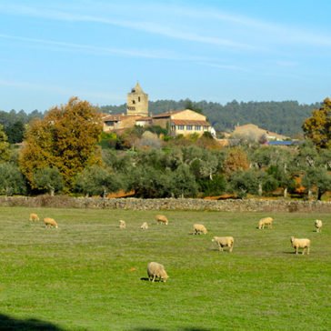 villasbuenas de gata, beneficios programa havitat, volver al pueblo, regresar al pueblo, oportunidades de trabajo en un pueblo, extremadura, sierra de gata